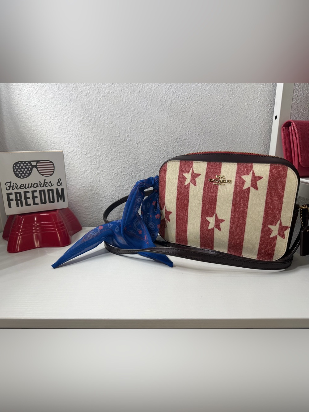Coach Mini Stars & Stripes Camera Bag
